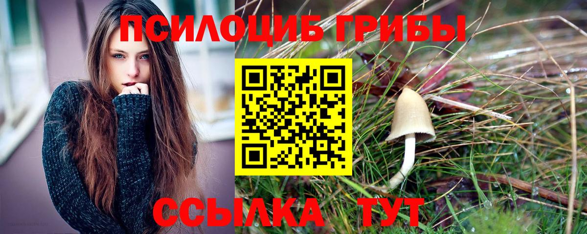 Псилоцибиновые грибы ЛСД Всеволожск