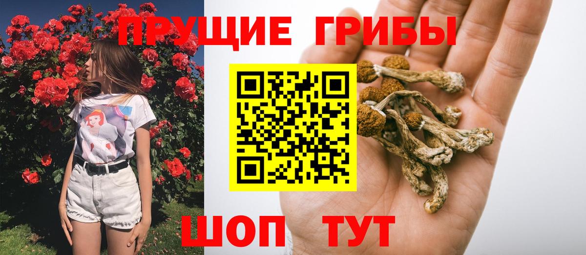 Всеволожск  Псилоцибиновые грибы Magic Shrooms  Вход с VPN  купить наркотик  Псилоцибиновые грибы мицелий 